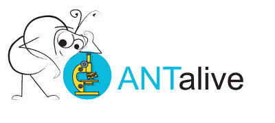Logo ANTalive